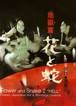九七視頻在線觀看