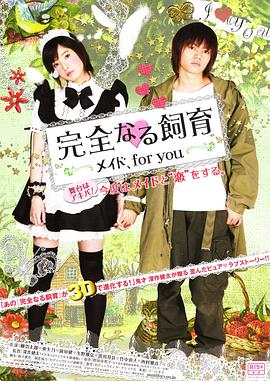 木棉花的春天演員表