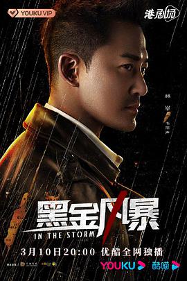 黑金風(fēng)暴2022國(guó)語