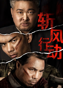 斬風(fēng)行動(dòng)